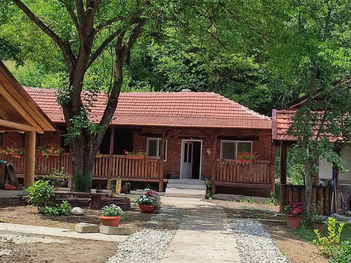 Dumbrava Minunata Pesteana المظهر الخارجي الصورة